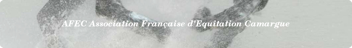 AFEC Association Française d'Equitation Camargue